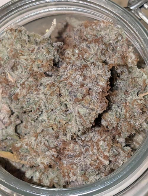 Knickerbocker Glory. Week 12