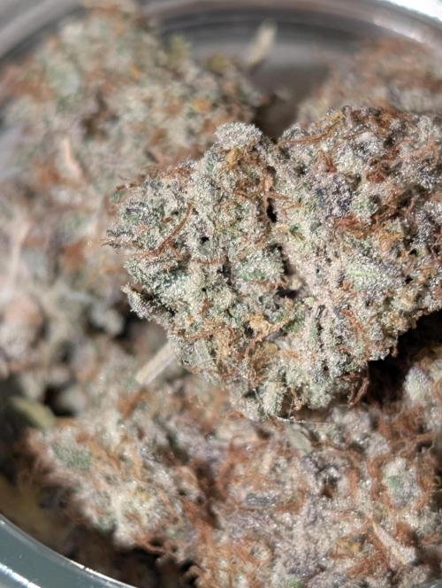 Knickerbocker Glory. Week 12