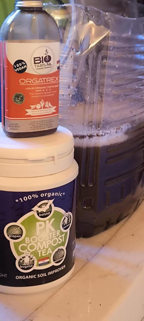 Gorilla Skittlez,Girl scout  Cookies. Week 6 - Tee blubbert auch schon für BT:15