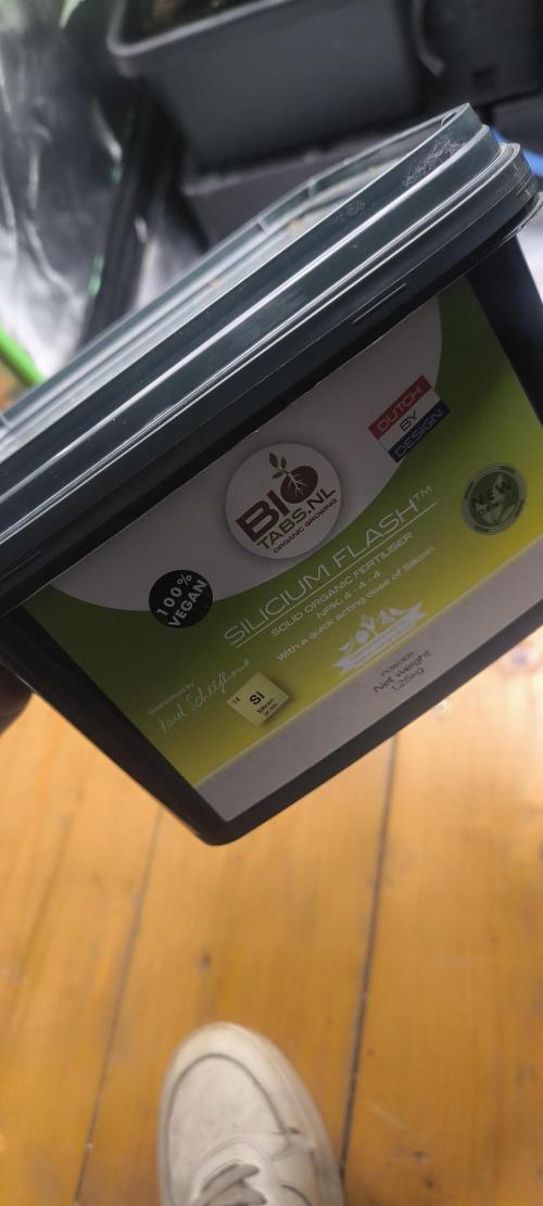 CBD Auto 20:1 Fast Buds. Week 5 - Tag:33