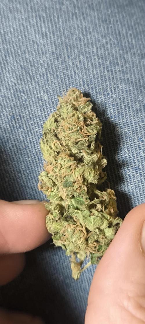 Bruce Banner,Gorilla Skittlez. Week 10