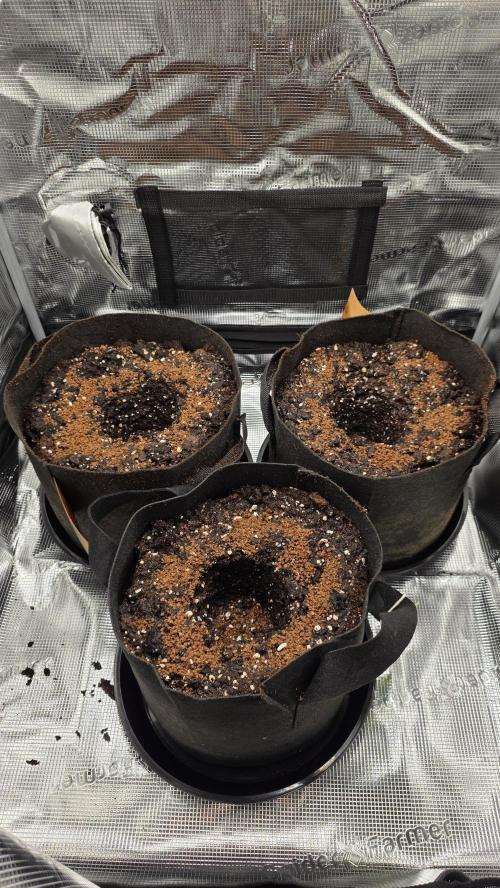 🍂 autumn #2 🍂. Week 1