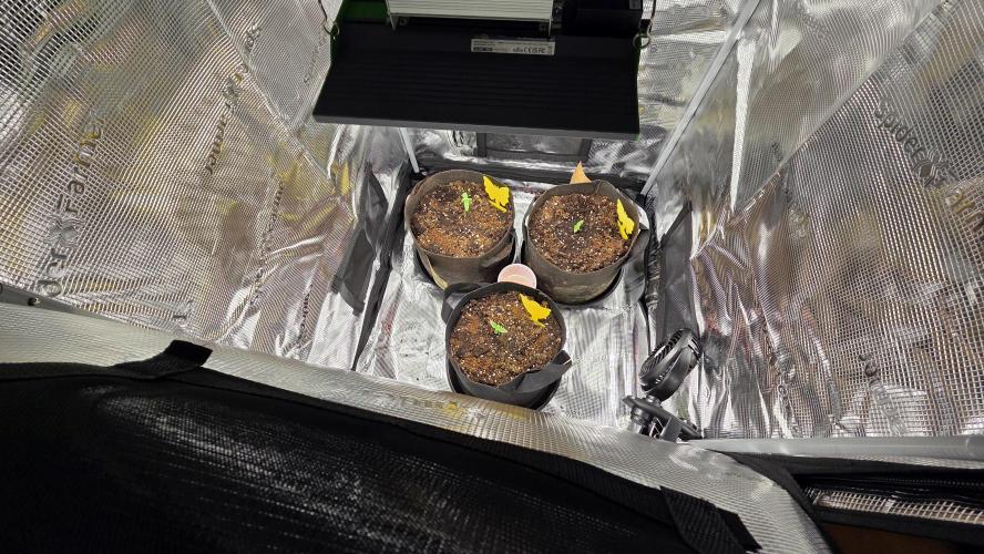 🍂 autumn #2 🍂. Week 1