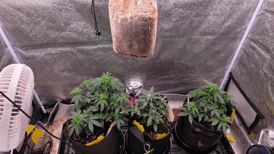 🍂 autumn #2 🍂. Week 6