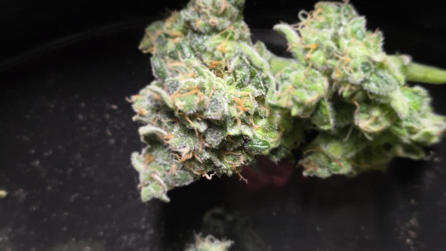 🍂 autumn #2 🍂. Week 9