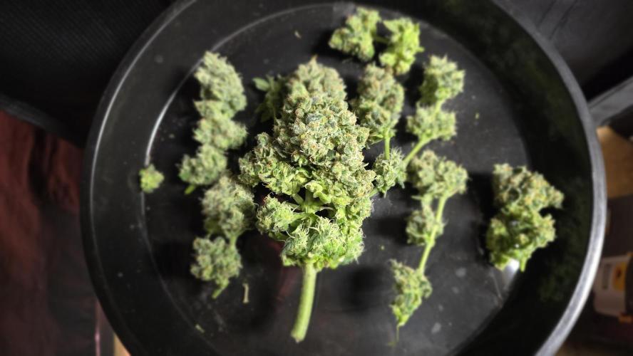 🍂 autumn #2 🍂. Week 9