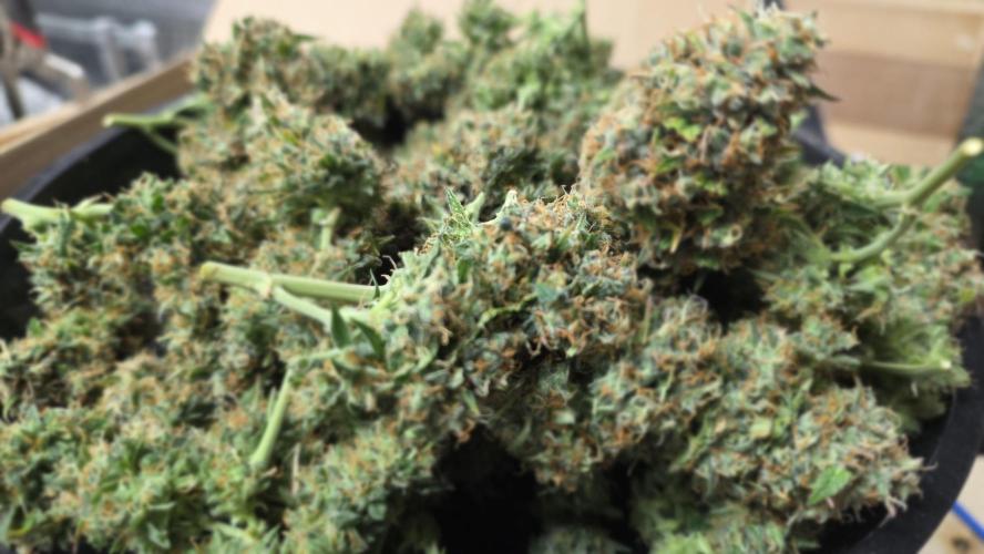 🍂 autumn #2 🍂. Week 15