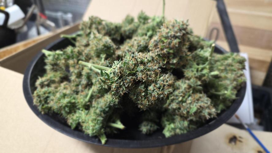 🍂 autumn #2 🍂. Week 15