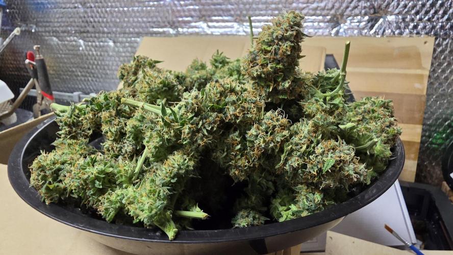 🍂 autumn #2 🍂. Week 15