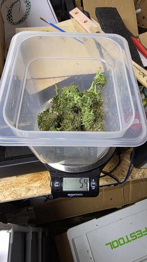 🍂 autumn #2 🍂. Week 15