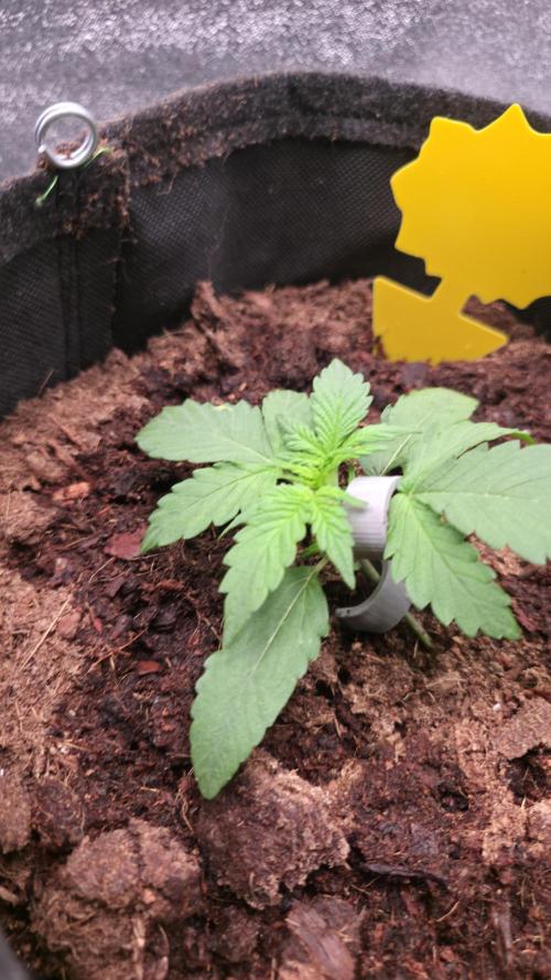 Spring 🌱🌱🌱. Week 2