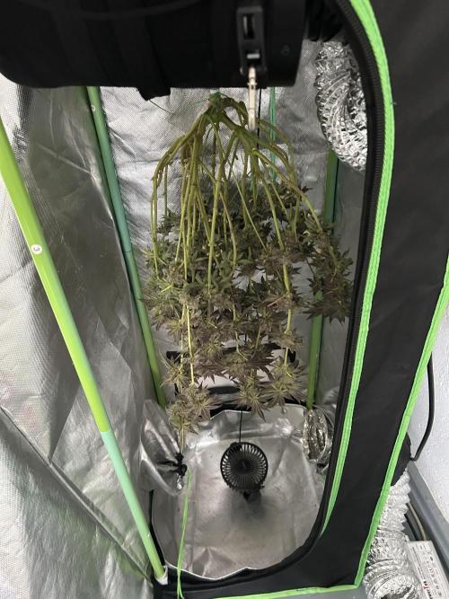 Kawazaki 40x40x120. Week 14