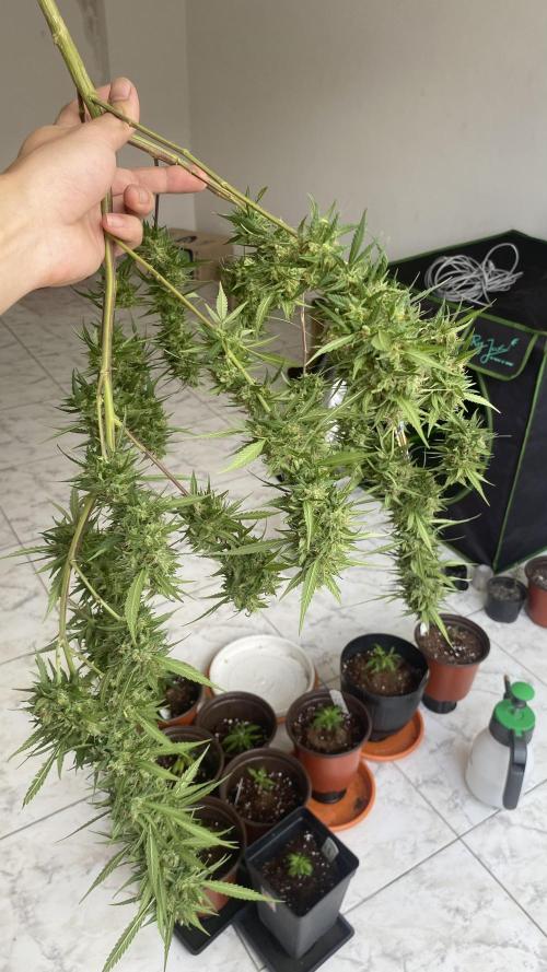 #NeverStopGrowing. Week 1