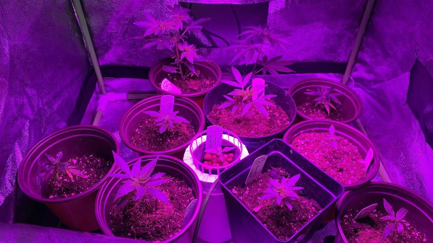 #NeverStopGrowing. Week 2