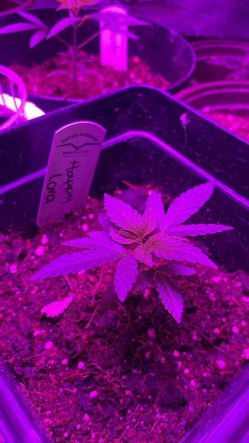 #NeverStopGrowing. Week 2