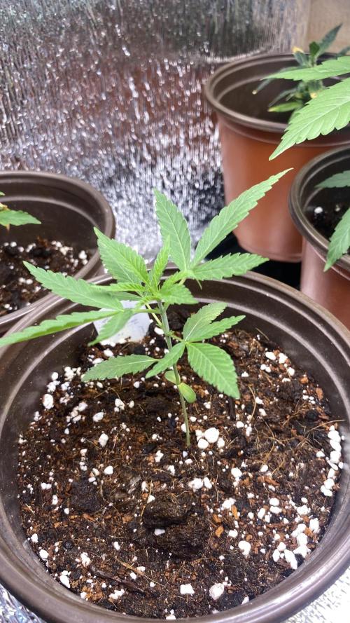 #NeverStopGrowing. Week 3