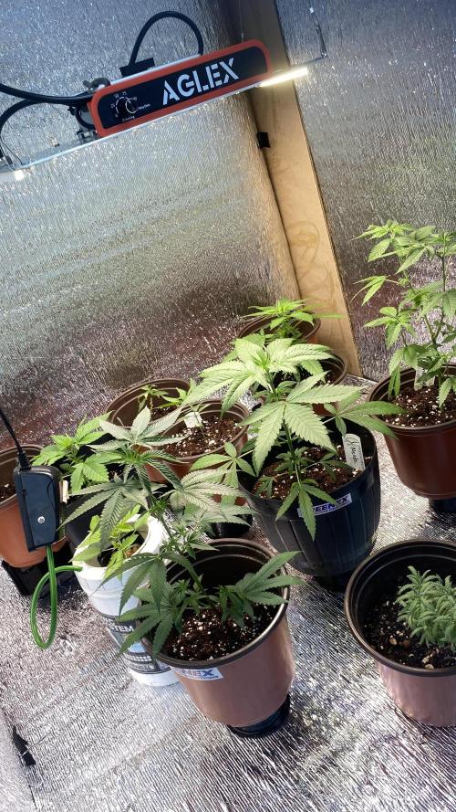 #NeverStopGrowing. Week 3