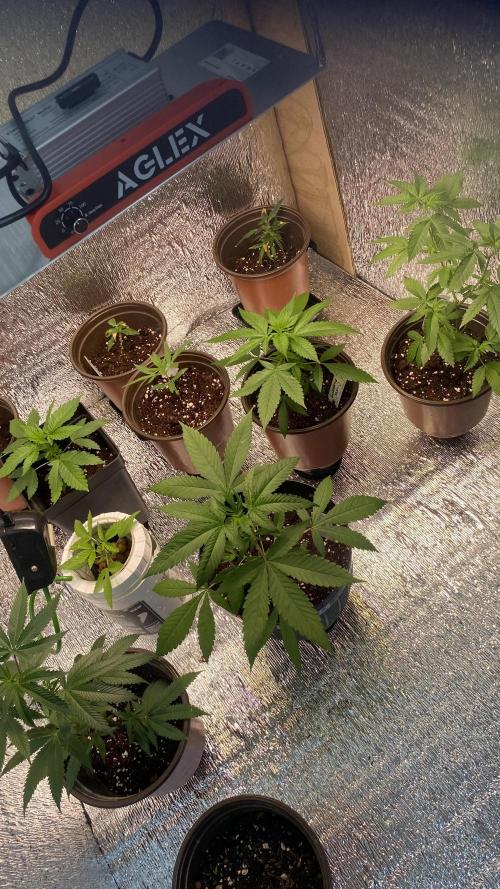 #NeverStopGrowing. Week 3