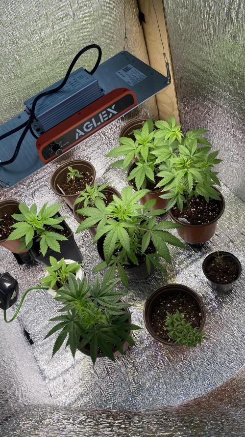 #NeverStopGrowing. Week 3