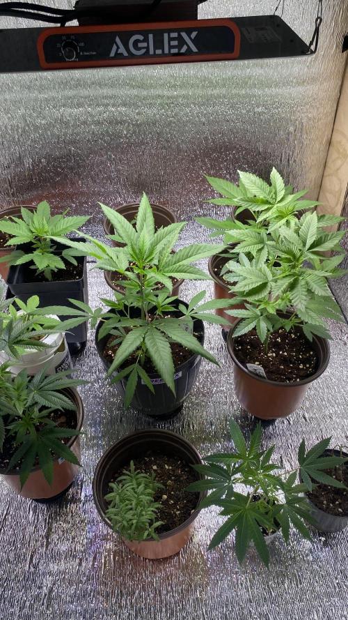 #NeverStopGrowing. Week 4