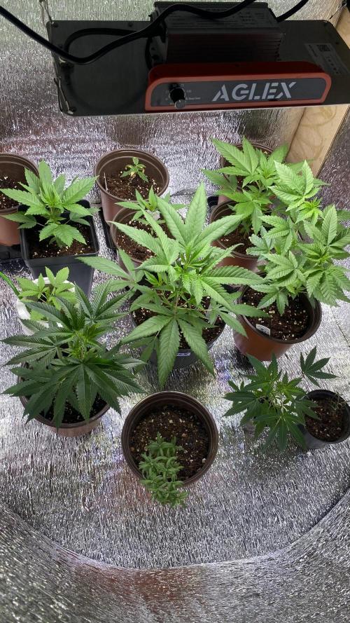 #NeverStopGrowing. Week 4
