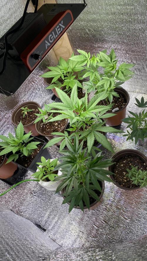 #NeverStopGrowing. Week 4