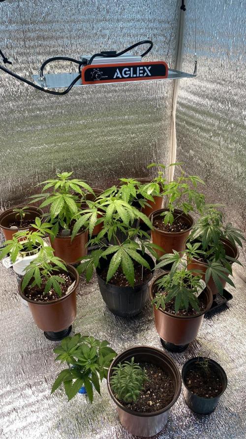 #NeverStopGrowing. Week 4