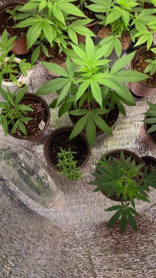 #NeverStopGrowing