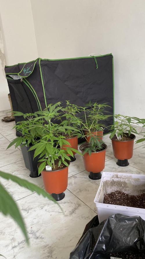 #NeverStopGrowing. Week 5