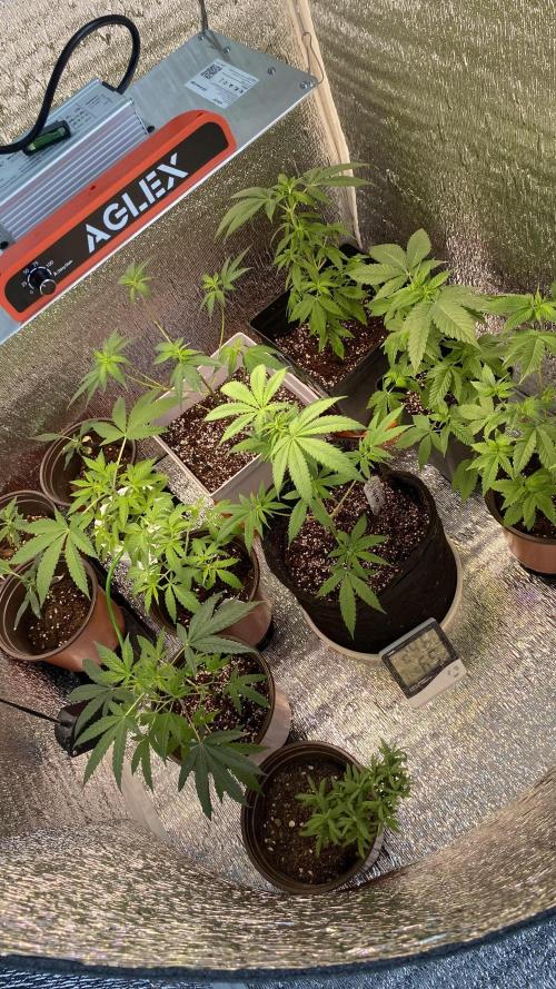 #NeverStopGrowing. Week 5