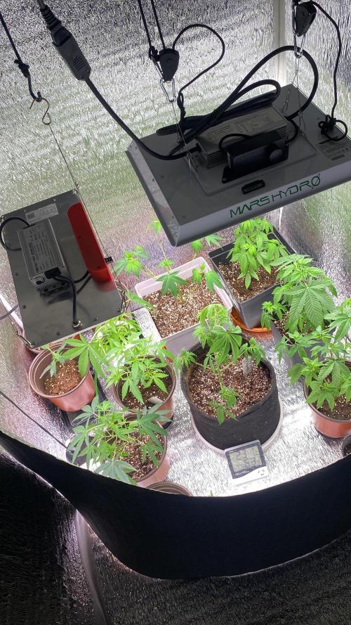 #NeverStopGrowing. Week 5