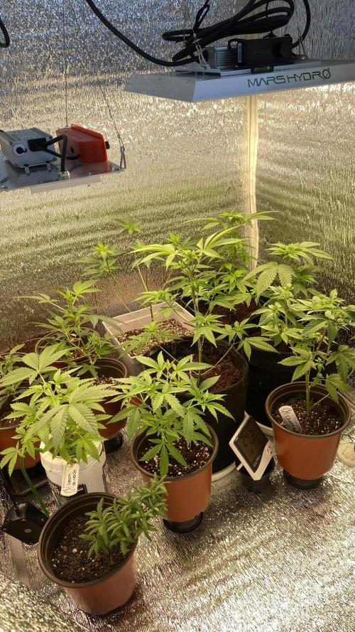#NeverStopGrowing. Week 5