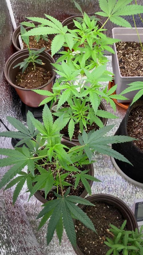#NeverStopGrowing