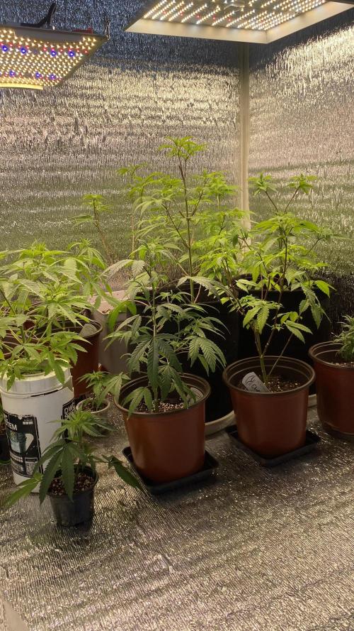 #NeverStopGrowing. Week 6