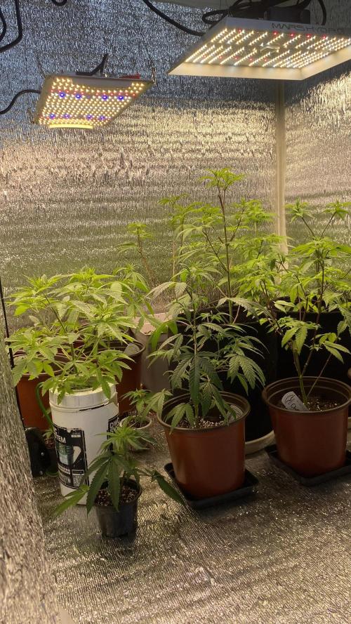 #NeverStopGrowing. Week 6
