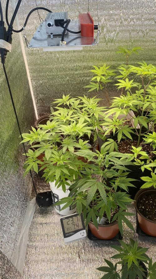 #NeverStopGrowing. Week 6
