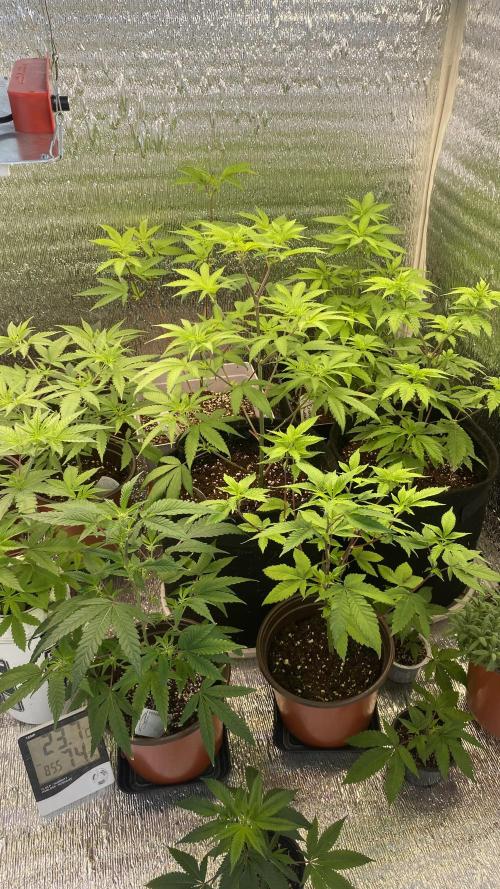 #NeverStopGrowing. Week 6