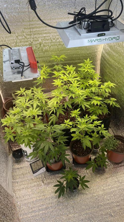 #NeverStopGrowing. Week 6