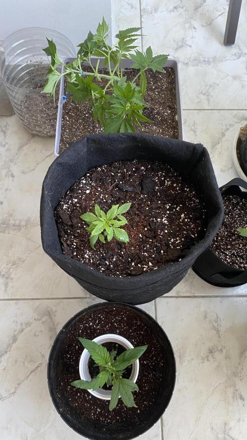 #NeverStopGrowing. Week 1