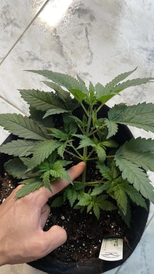 #NeverStopGrowing. Week 5