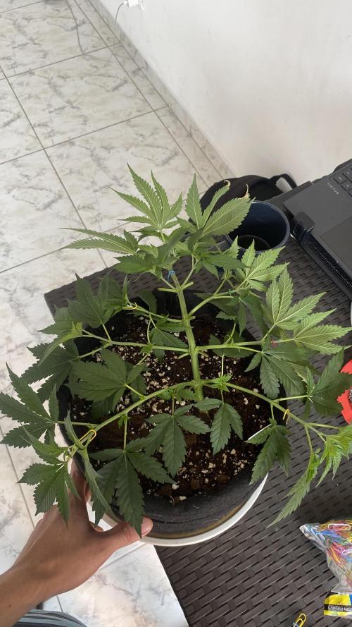#NeverStopGrowing. Week 6