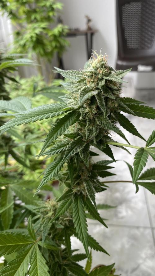 #NeverStopGrowing. Week 10