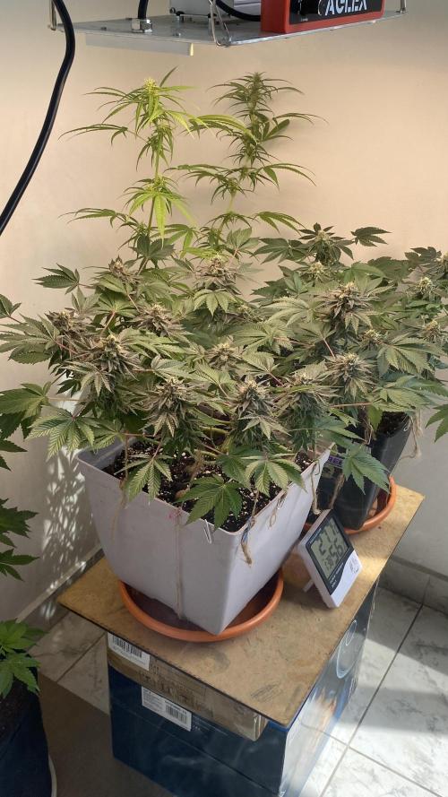 #NeverStopGrowing. Week 11