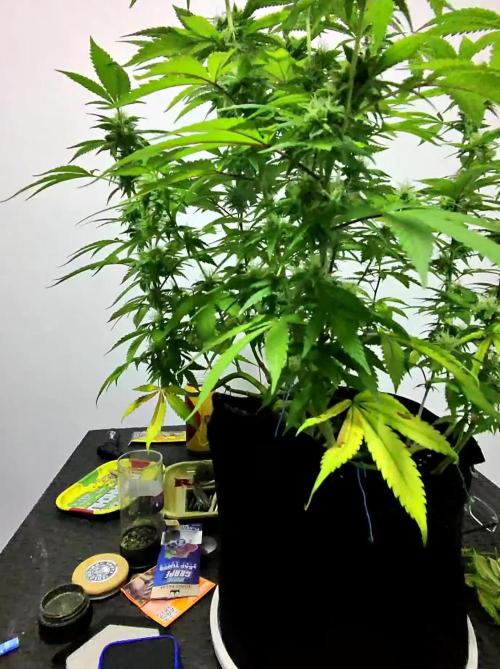 #NeverStopGrowing