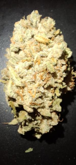 Comment by Barrabass photo #2