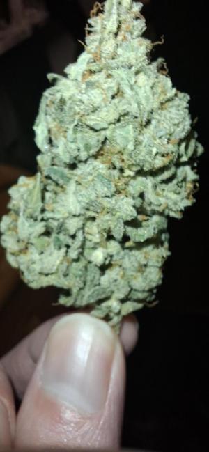 Comment by Barrabass photo #3