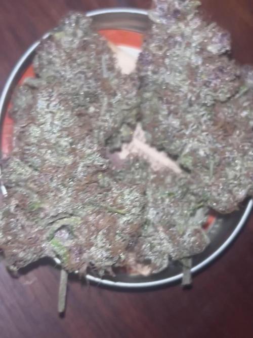 StrawBerry Gorilla