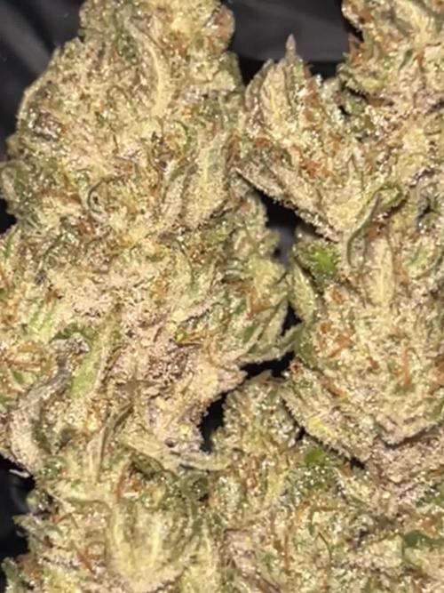 StrawBerry Gorilla RF3