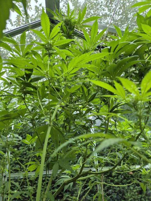 Breaking the ICE First Photo Outdoor run. Week 20