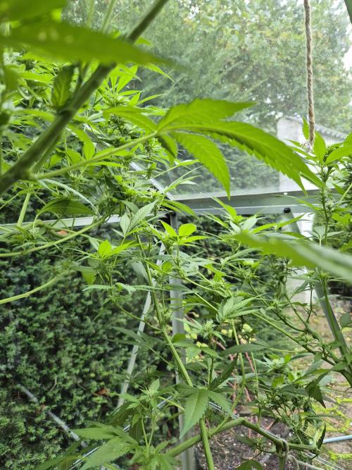 Breaking the ICE First Photo Outdoor run. Week 20